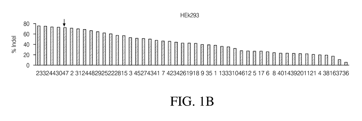 Ribonucleoprotein transfection agents