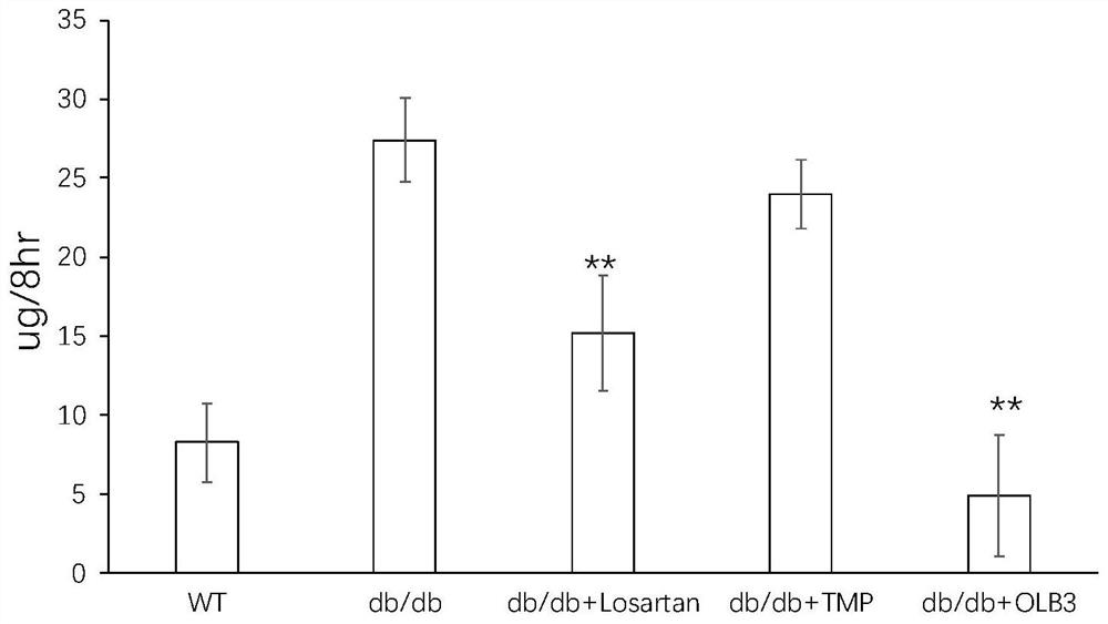 Application of pyrazine compounds with multiple effects in preparation of medicines