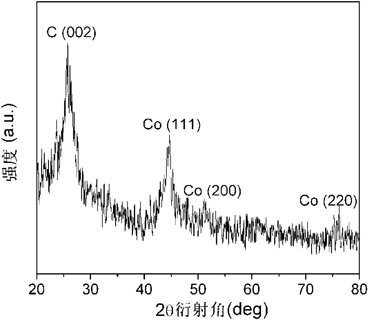 Carbon nano composite and preparation method thereof