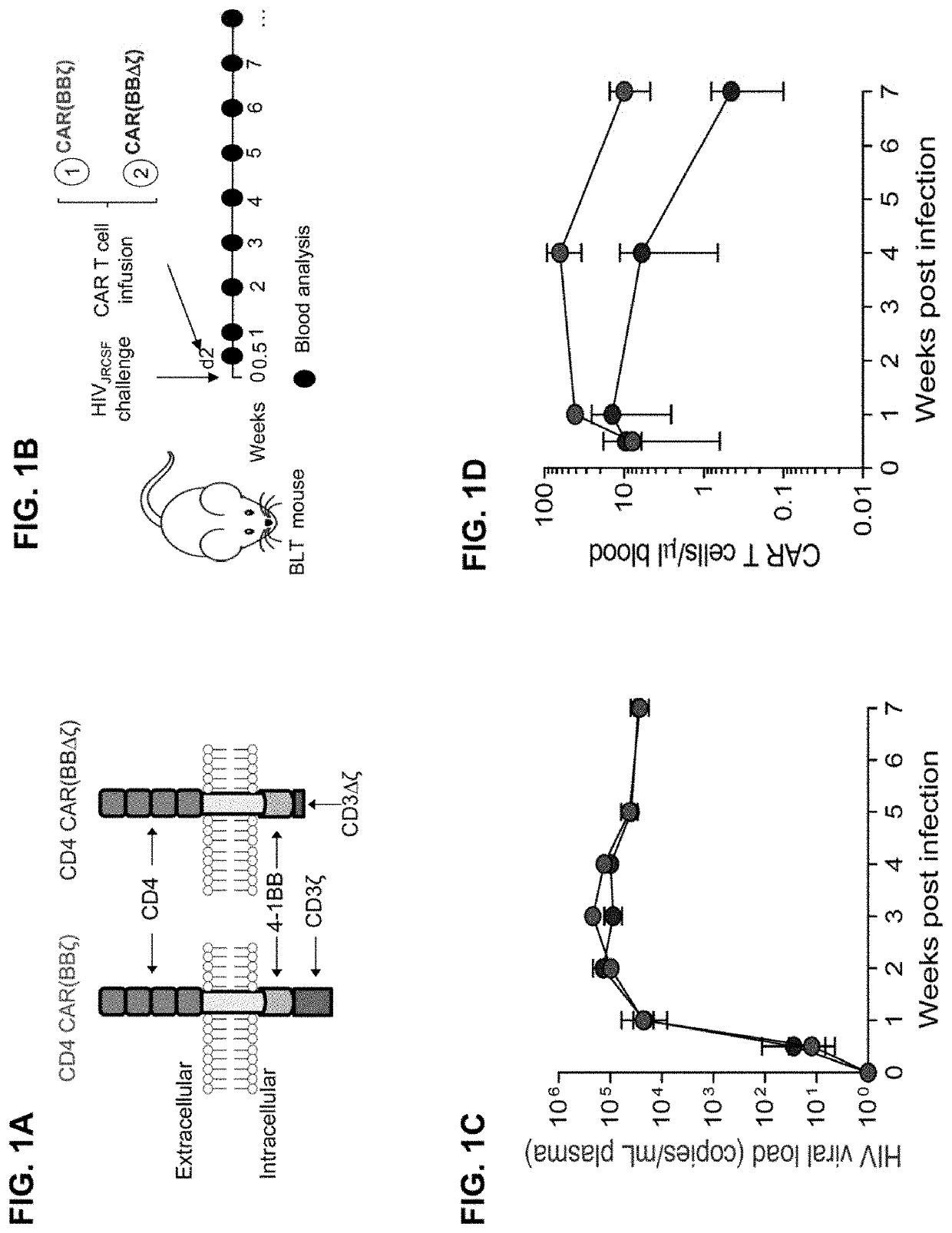 Dual car expressing t cells individually linked to cd28 and 4-1bb