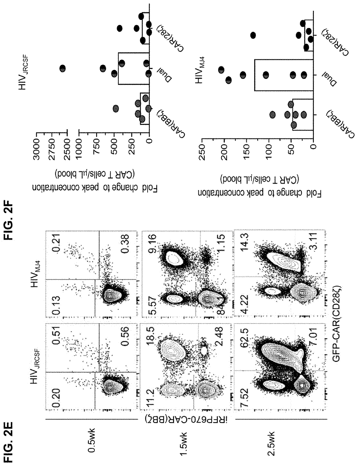 Dual car expressing t cells individually linked to cd28 and 4-1bb