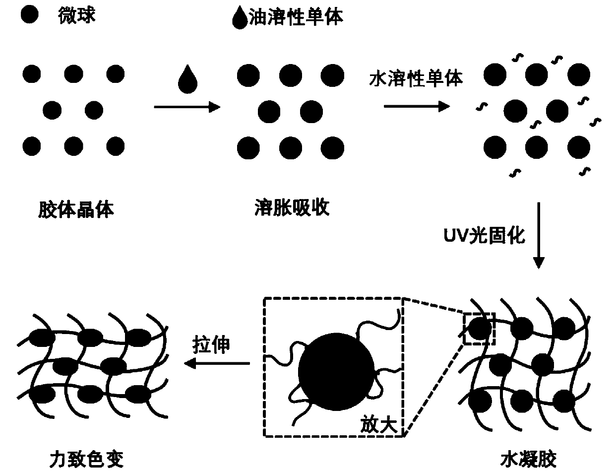 High-strength photonic crystal hydrogel, preparation method and application thereof