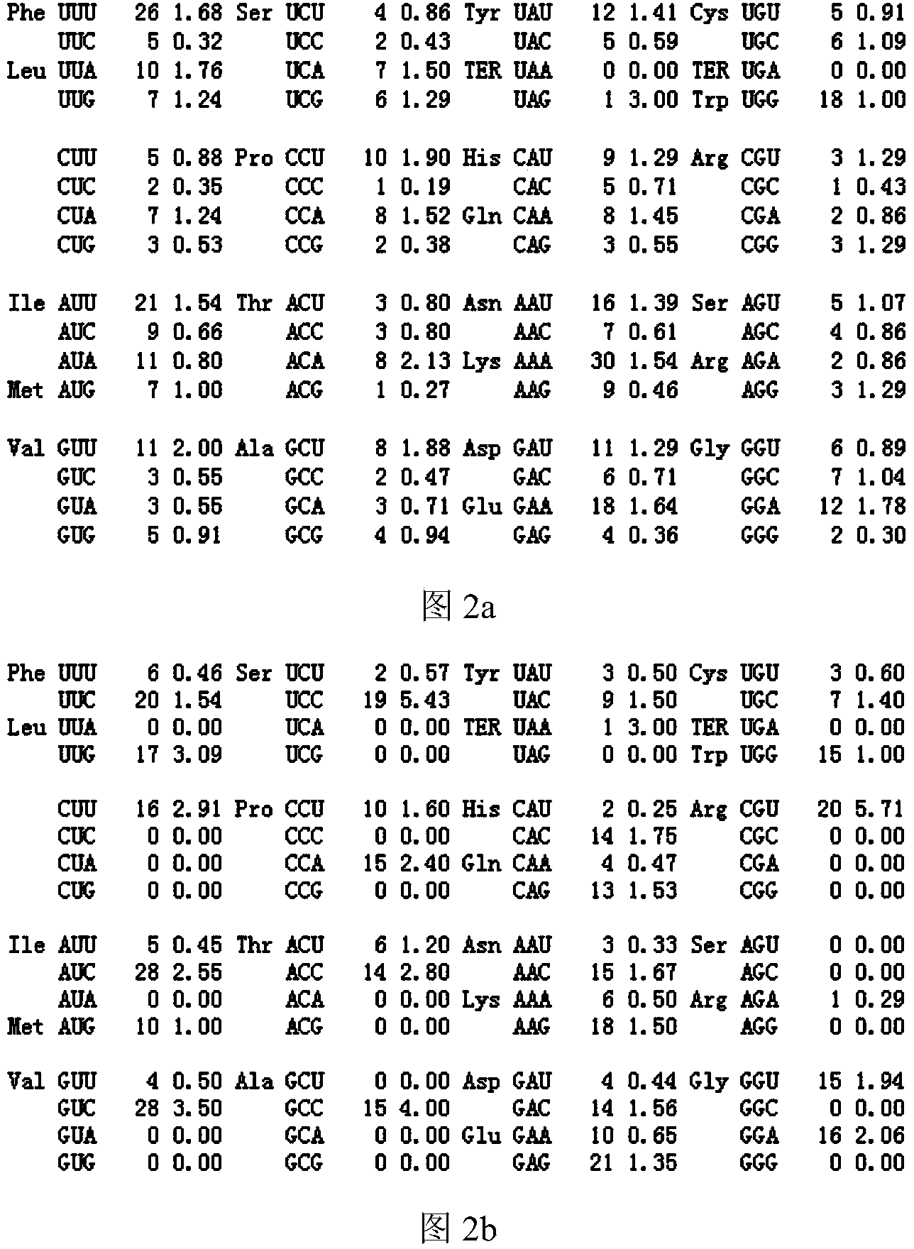 Gene optimization of cholesterol dehydrogenase and high-efficiency expression thereof