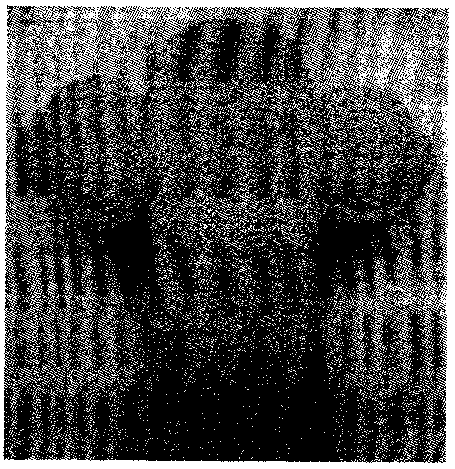 Method for preparing high-air permeability and high-strength ceramic shell mold for anti-gravity casting