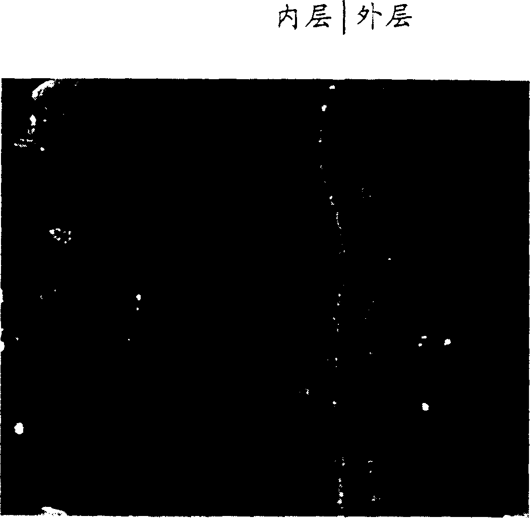 Composite ceramic film on surface of magnesium alloy and its forming process