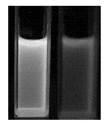 Metering type fluorinion fluorescence probe and preparation method