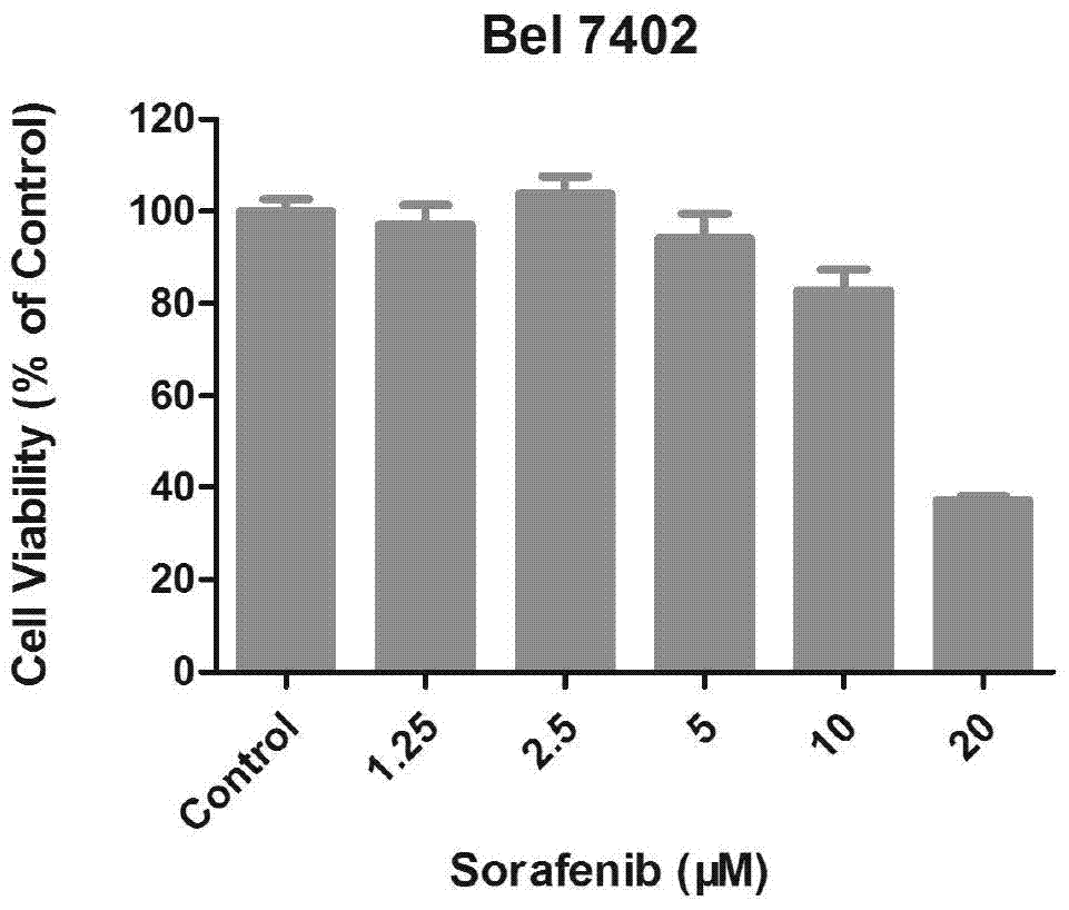 Synergistic compound drug for tumor treatment