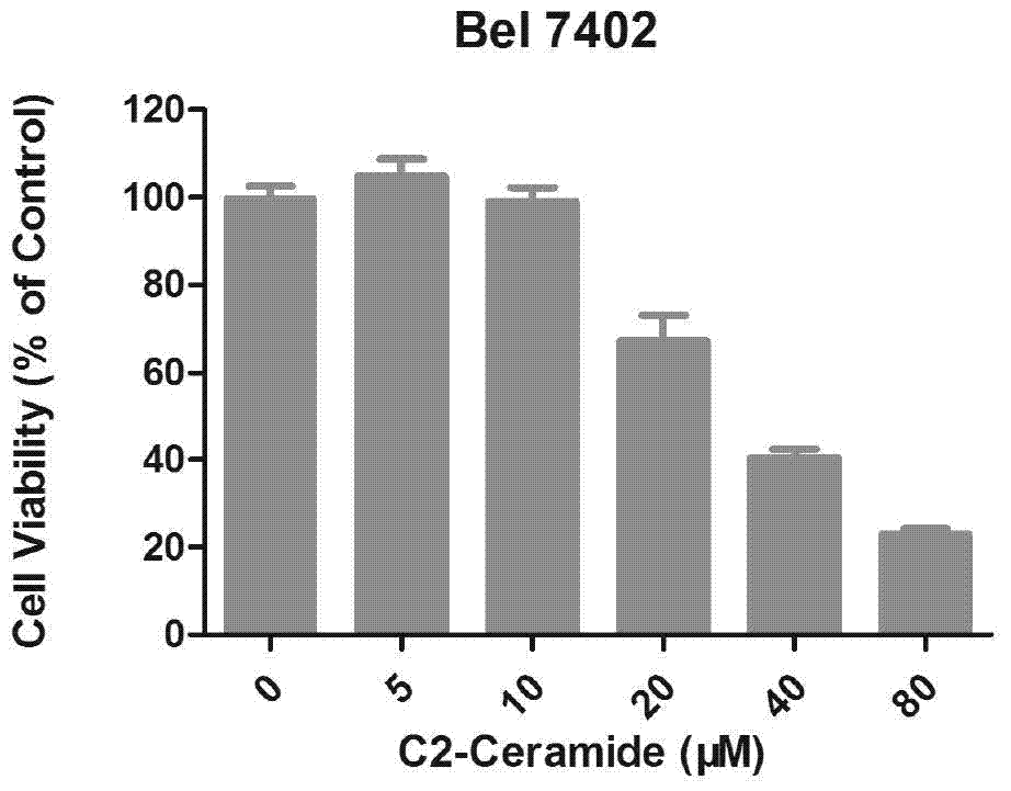 Synergistic compound drug for tumor treatment