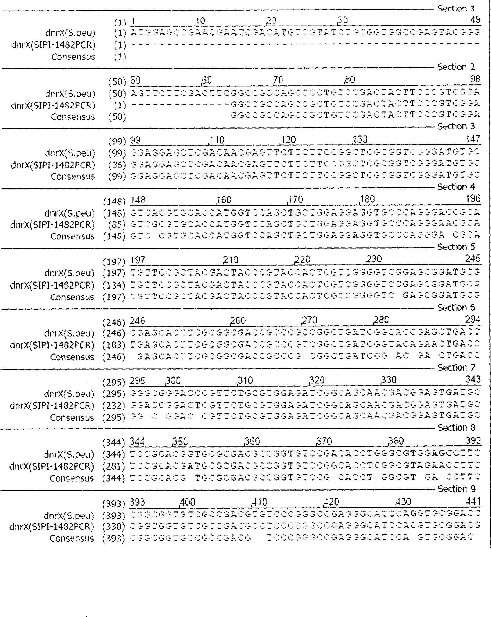 Anthracene nucleus antibiotic producing strain dnrX gene fragment, gene breaking engineering bacterium prepared from the same and application thereof