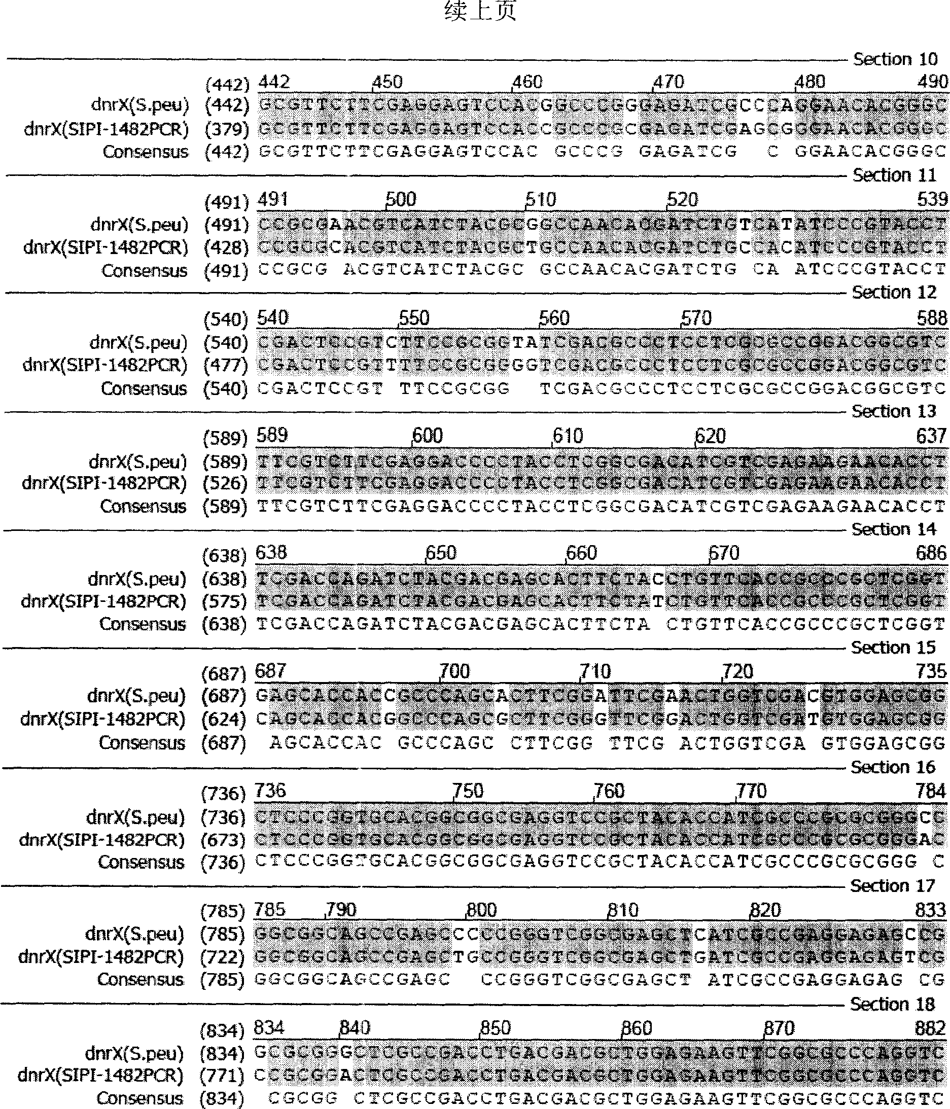 Anthracene nucleus antibiotic producing strain dnrX gene fragment, gene breaking engineering bacterium prepared from the same and application thereof