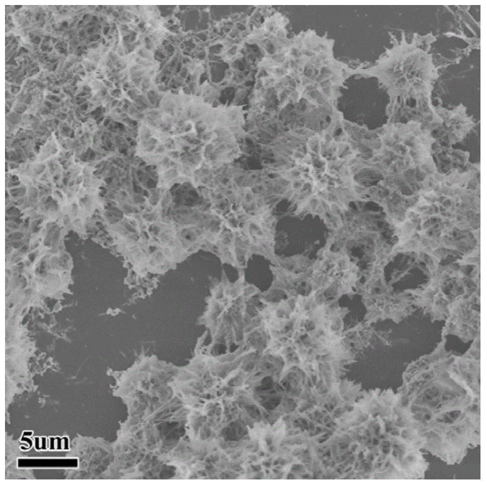 Cadmium selenide flower-shaped microspheres prepared from nanosheets with hydrophilic surfaces as well as preparation method and application of microspheres