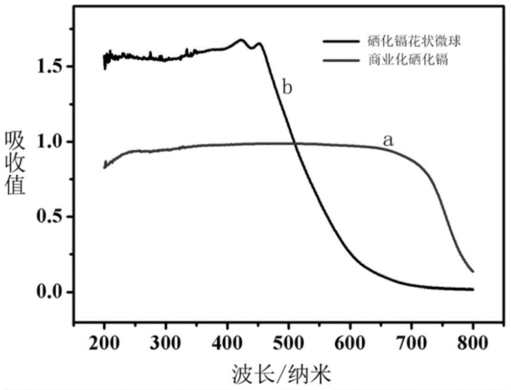 Cadmium selenide flower-shaped microspheres prepared from nanosheets with hydrophilic surfaces as well as preparation method and application of microspheres