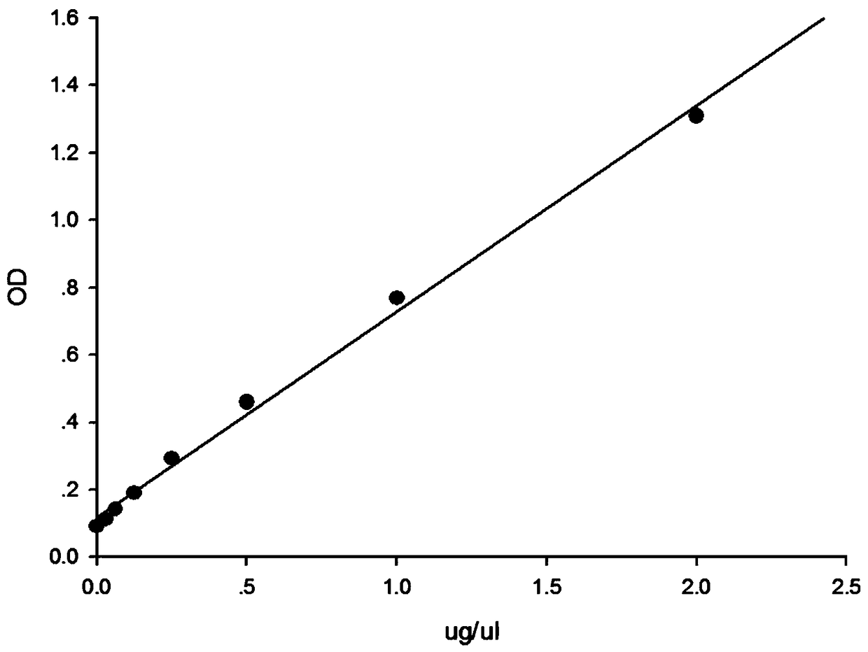 Giant panda lutropin beta subunit monoclonal antibody preparation method and application thereof