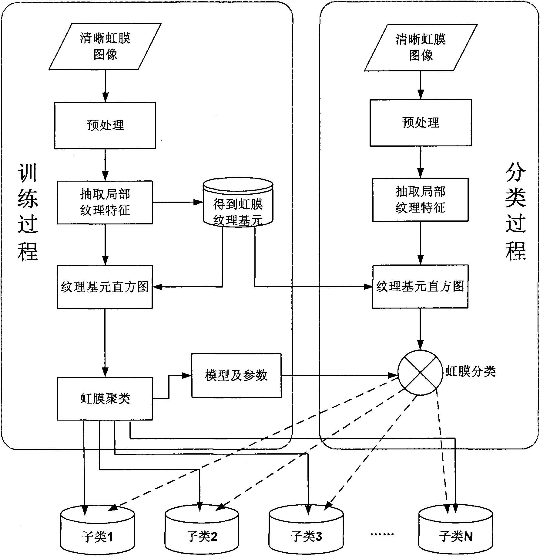 Iris classification method based on texture primitive statistical characteristic analysis