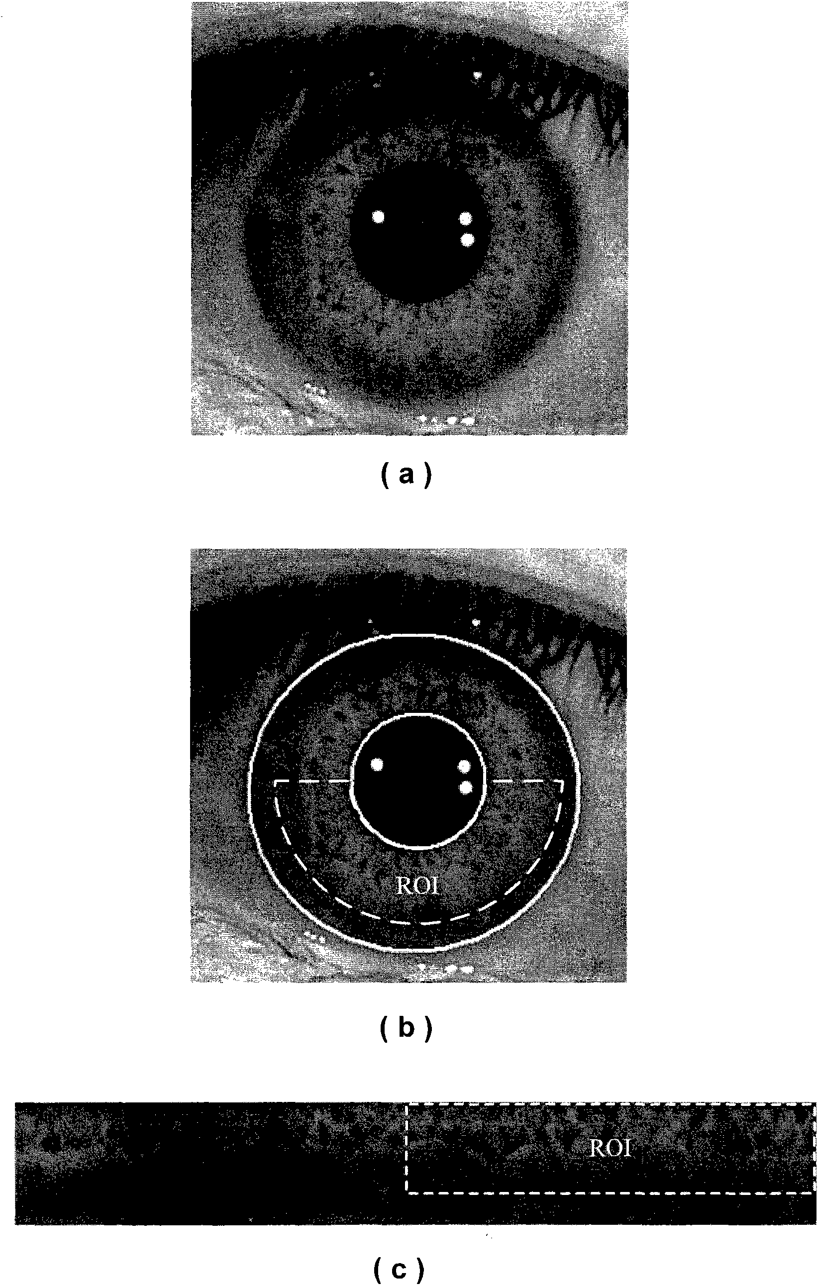 Iris classification method based on texture primitive statistical characteristic analysis