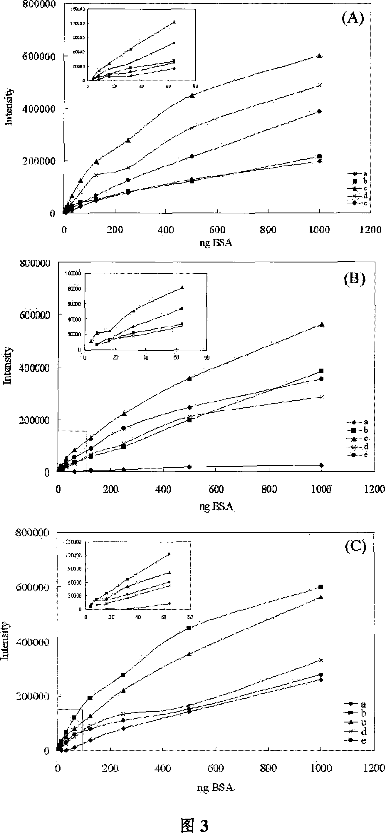 Application of Palmatine and its derivatives in protein fluorescent detecting