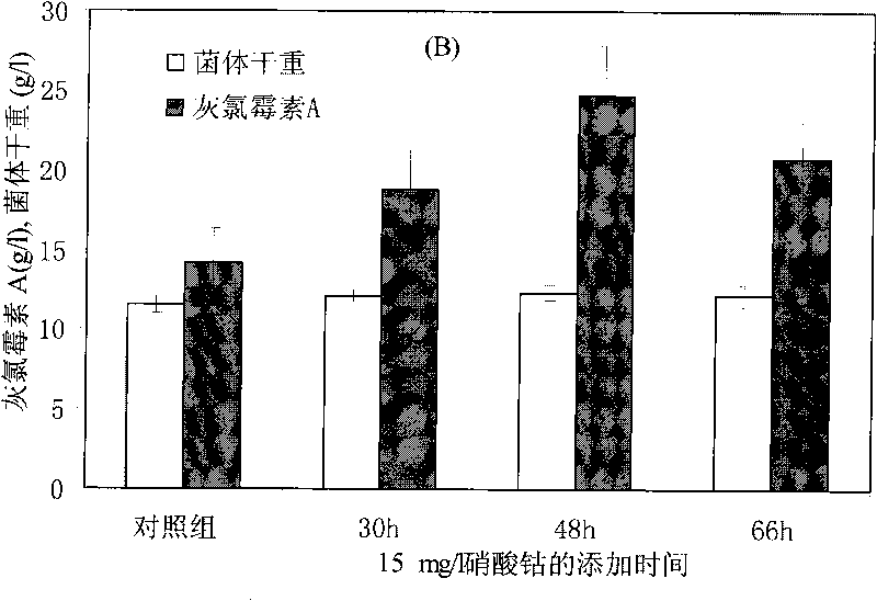 Method for increasing yield of griseoviridin A by adding metal ions