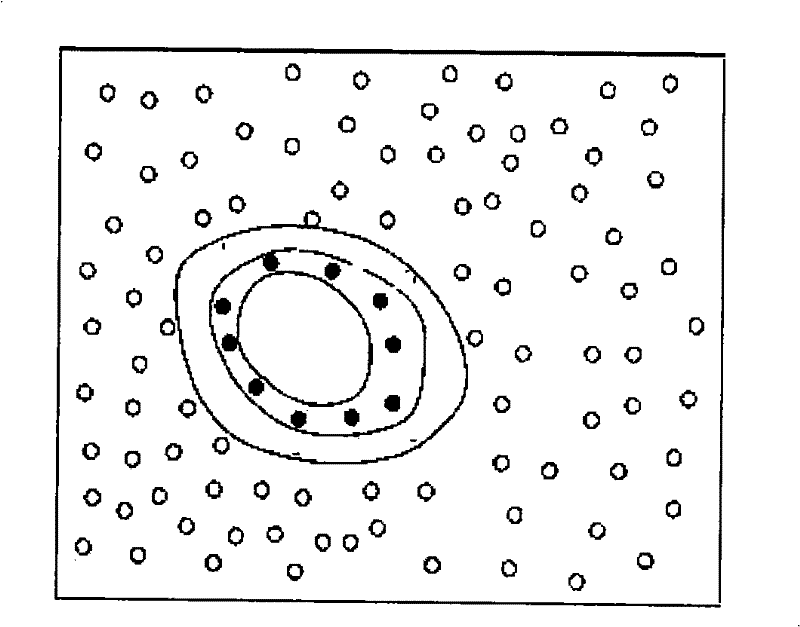 Method and system for forwarding network data by wireless sensor