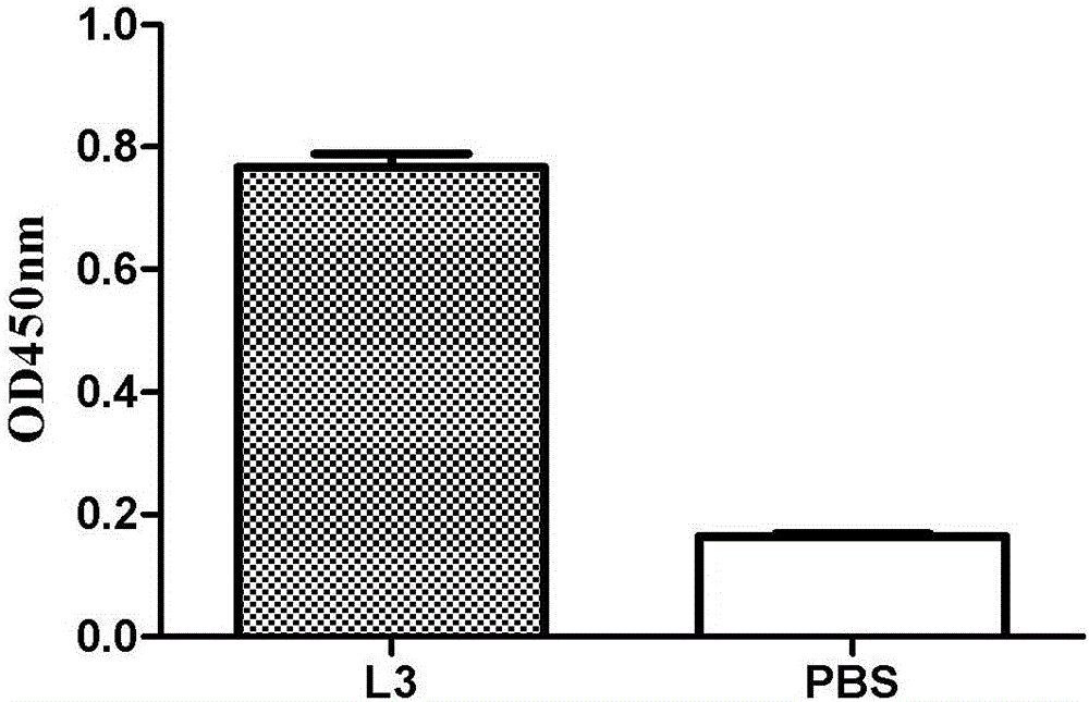 Immunogenic polypeptide capable of simulating staphylococcus aureus LTA epitopes and application of immunogenic polypeptide