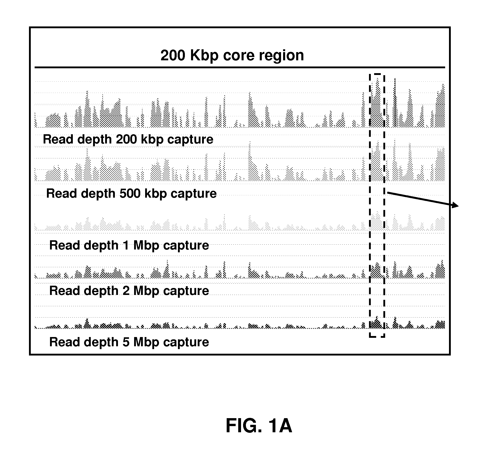 Methods and systems for uniform enrichment of genomic regions