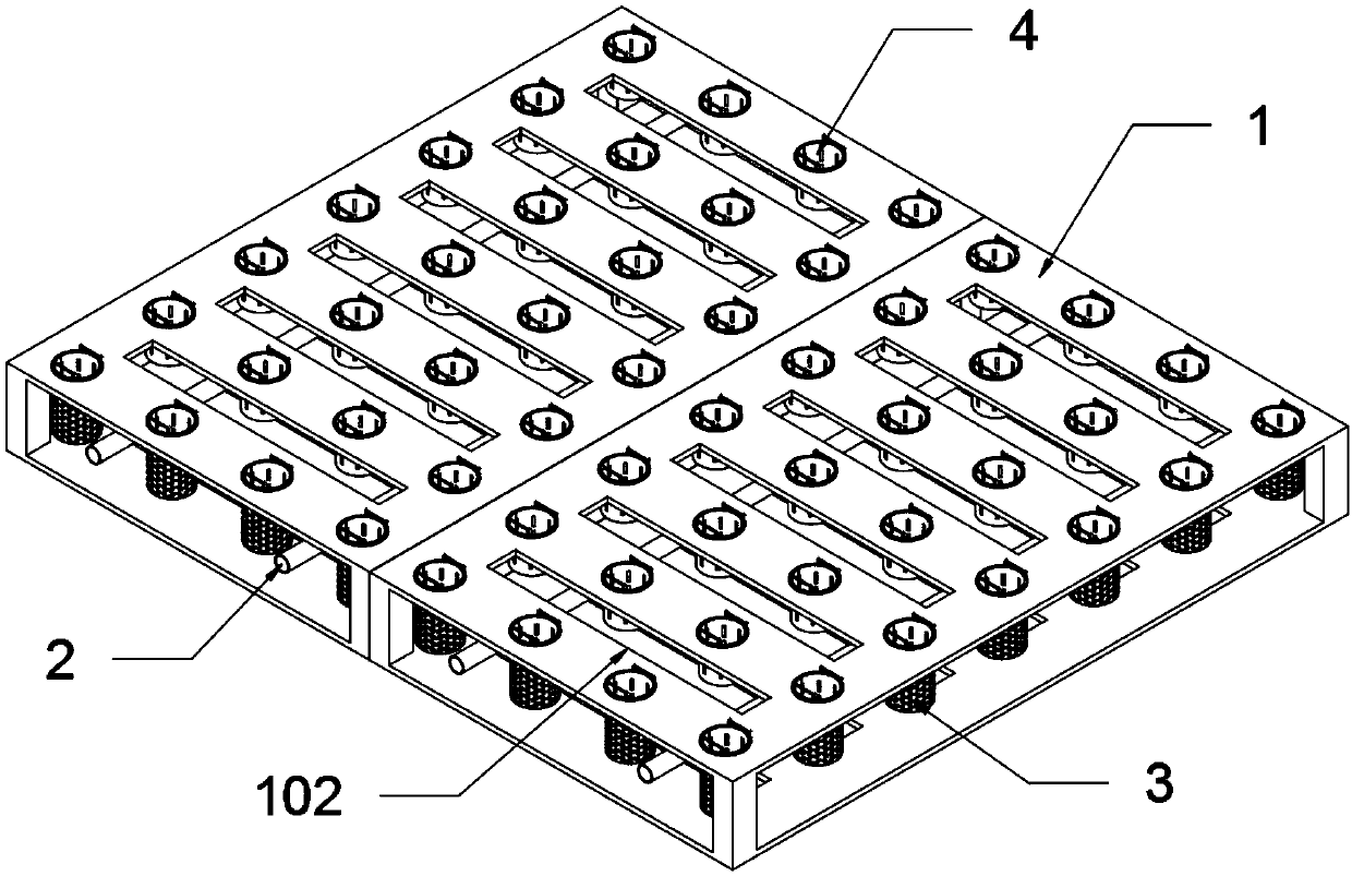 Auxiliary cultivation device for forestry seedling breeding