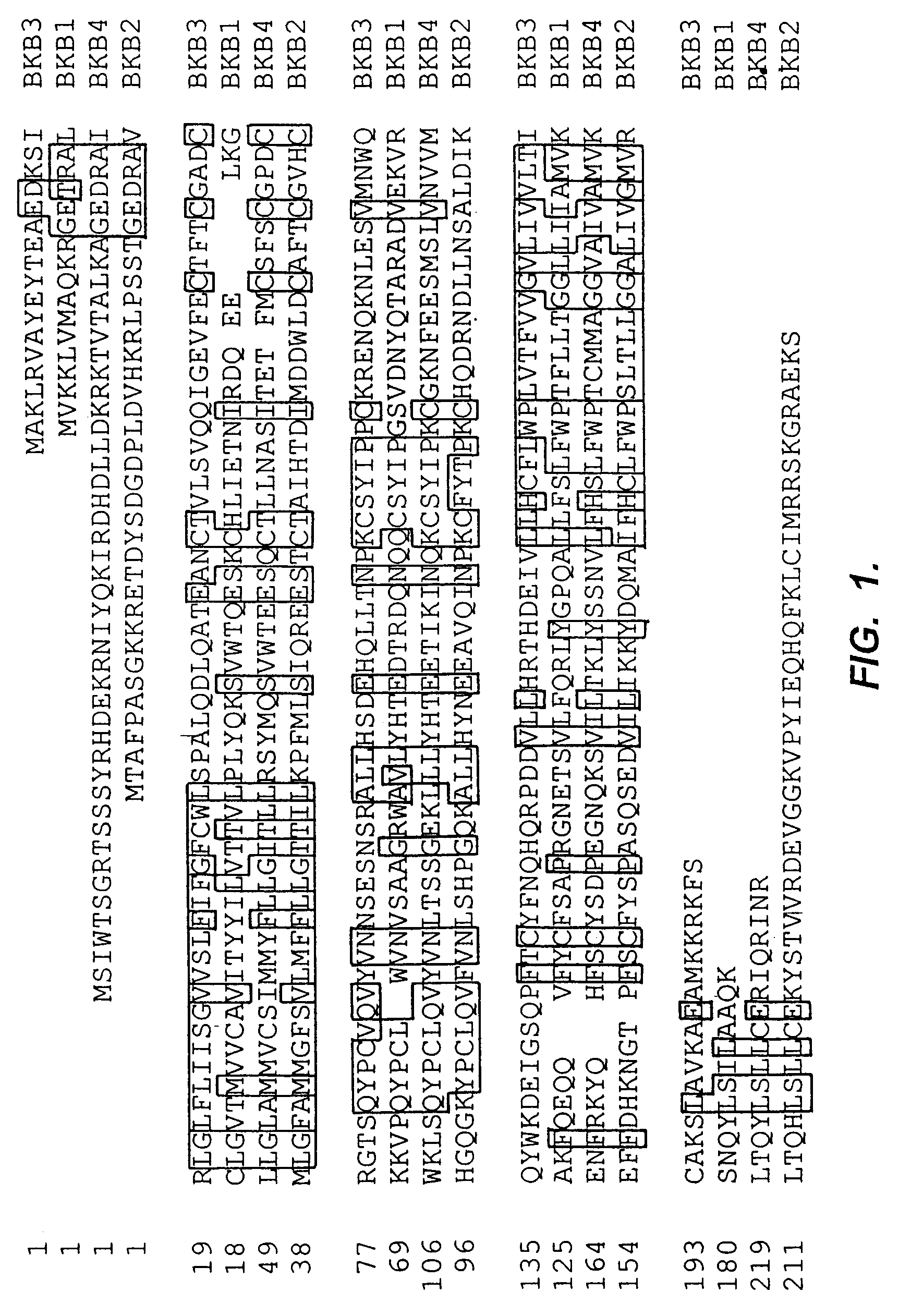 Beta subunits of Slo family potassium channels