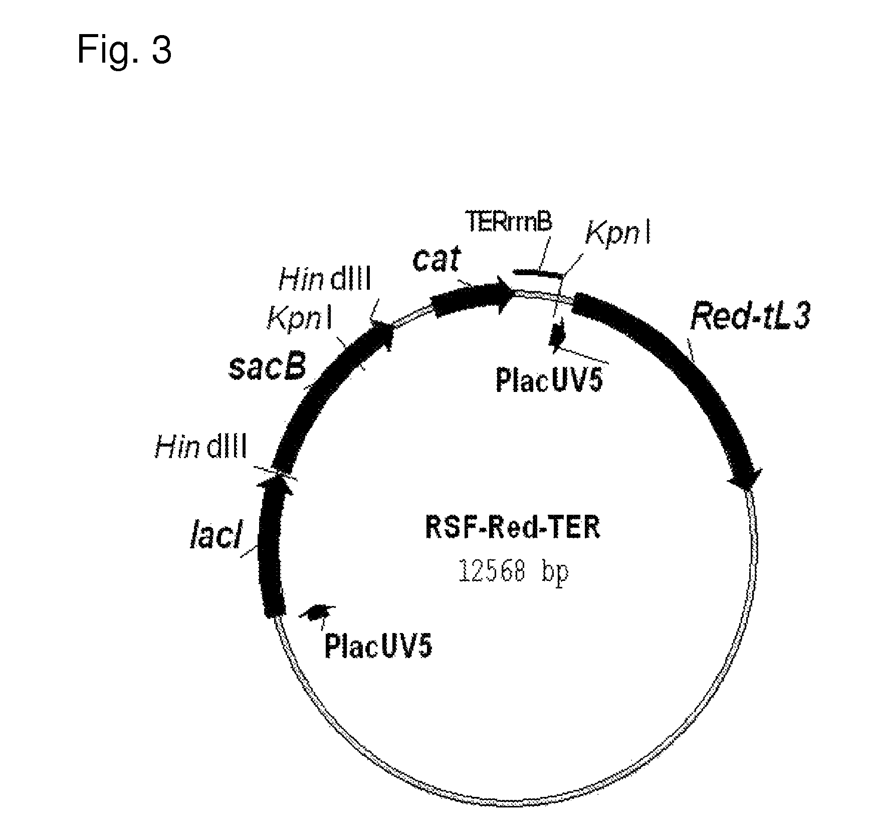 Method for producing an organic acid