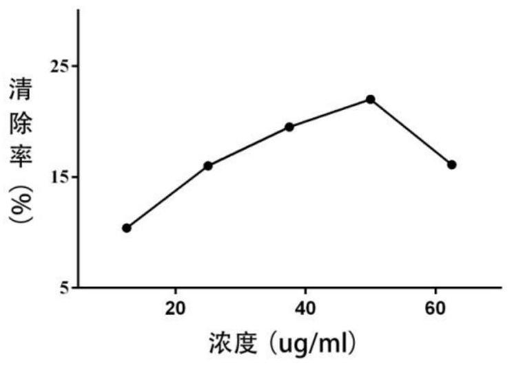 A kind of preparation method and application of total flavonoids extract of willow-leaf wintersweet