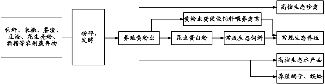 Method for breeding yellow meal worms by utilizing agricultural and subsidiary wastes in rural areas