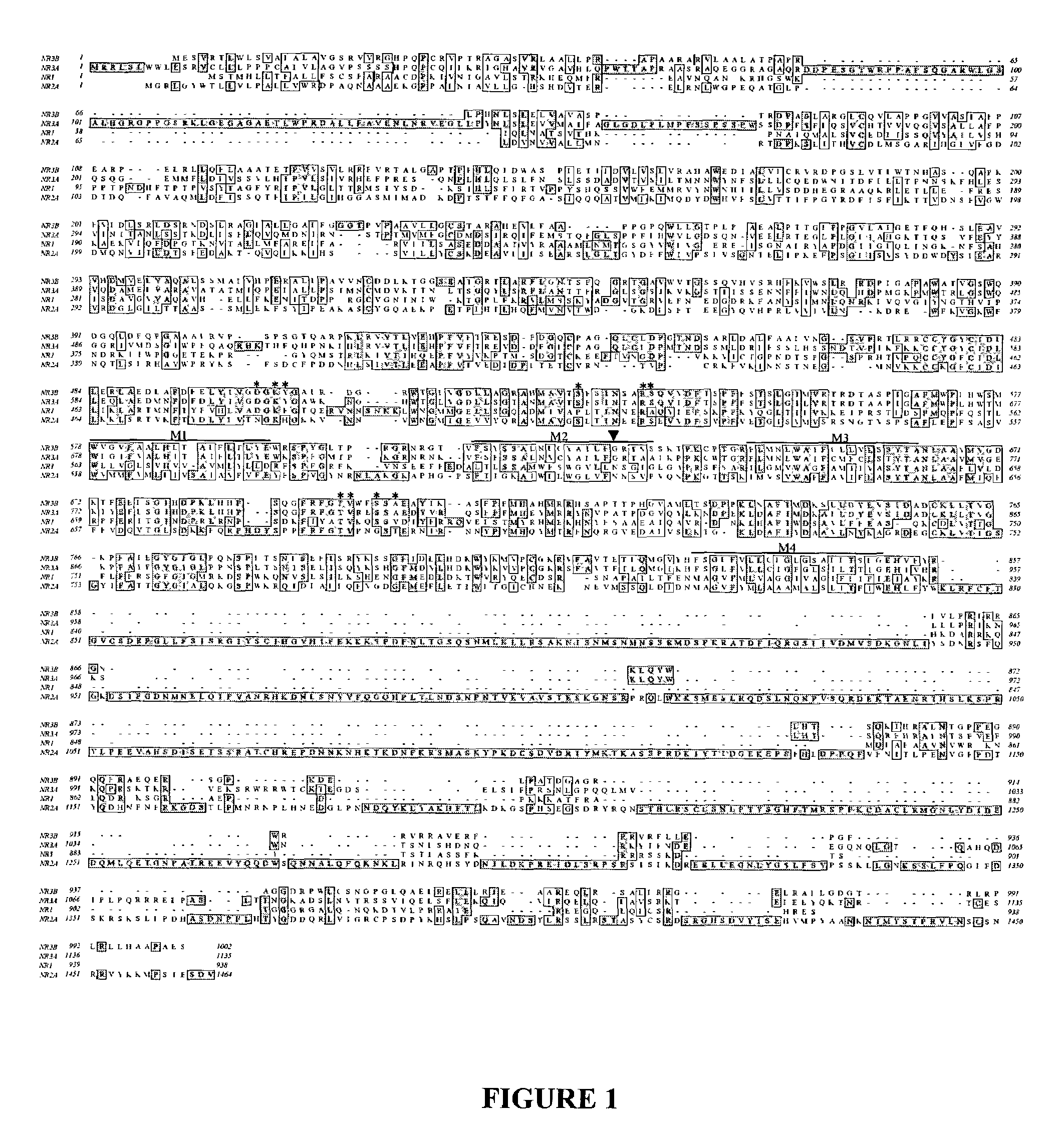 Excitatory glycine receptors and methods