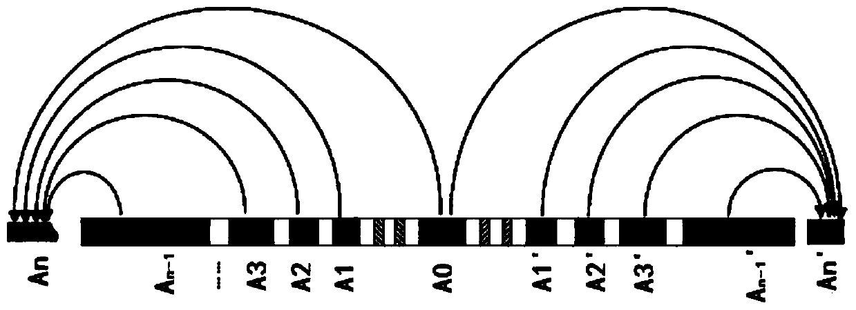 Array resistivity focusing system and focusing method in laboratory