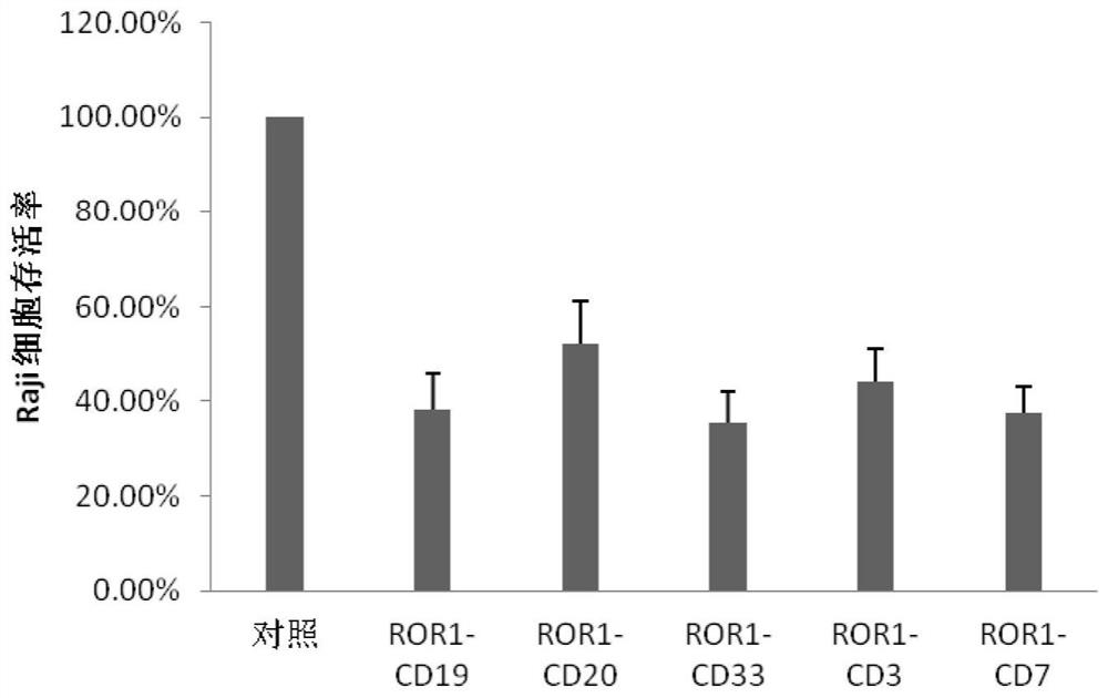 Bispecific chimeric antigen receptor (CAR) targeting ROR1 and CD7 and application thereof