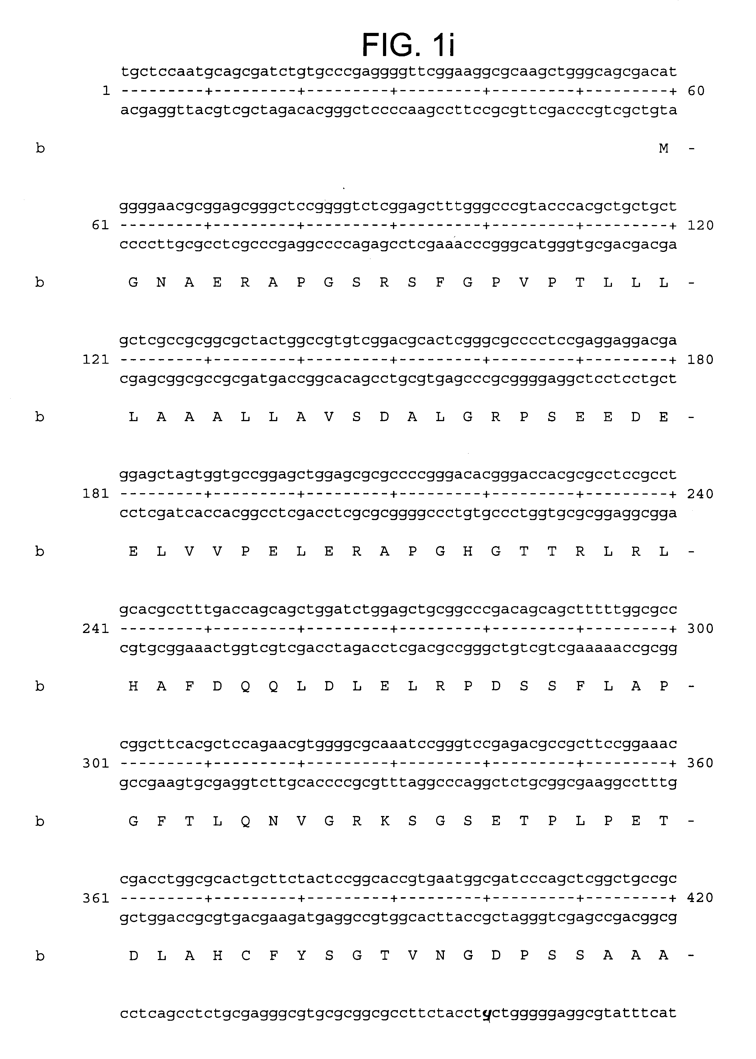 Human aggrecanase and nucleic acid compositions encoding the same