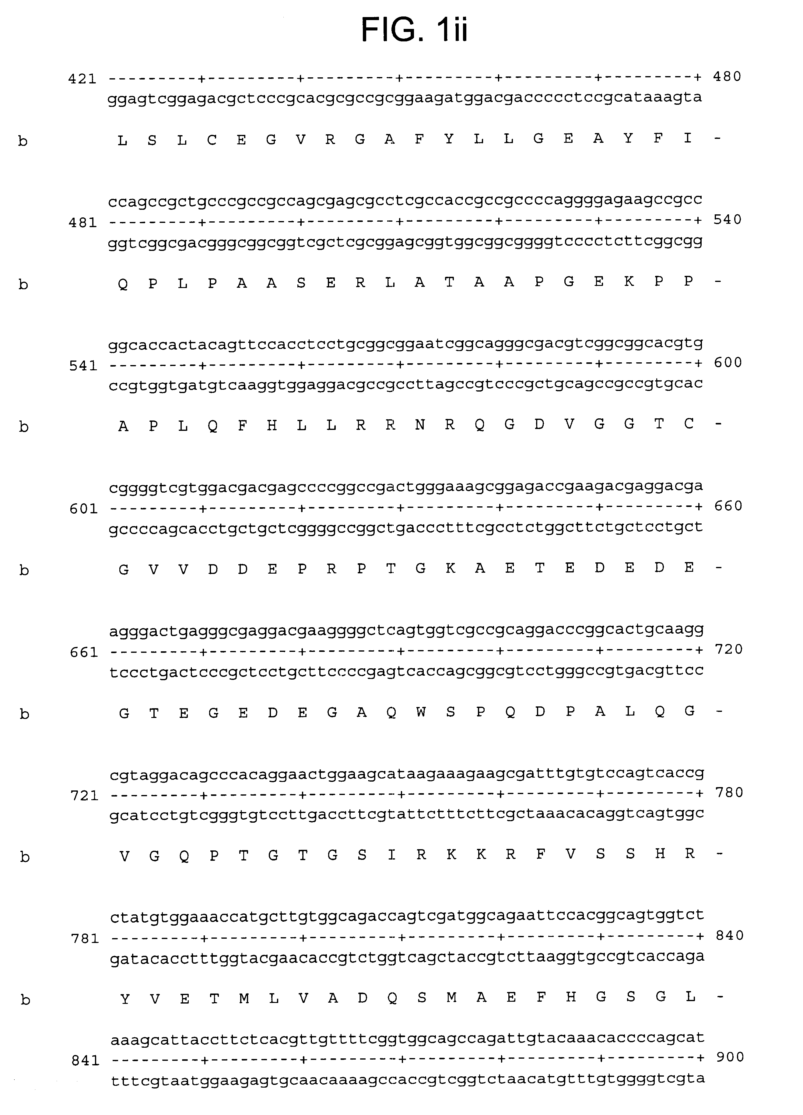 Human aggrecanase and nucleic acid compositions encoding the same