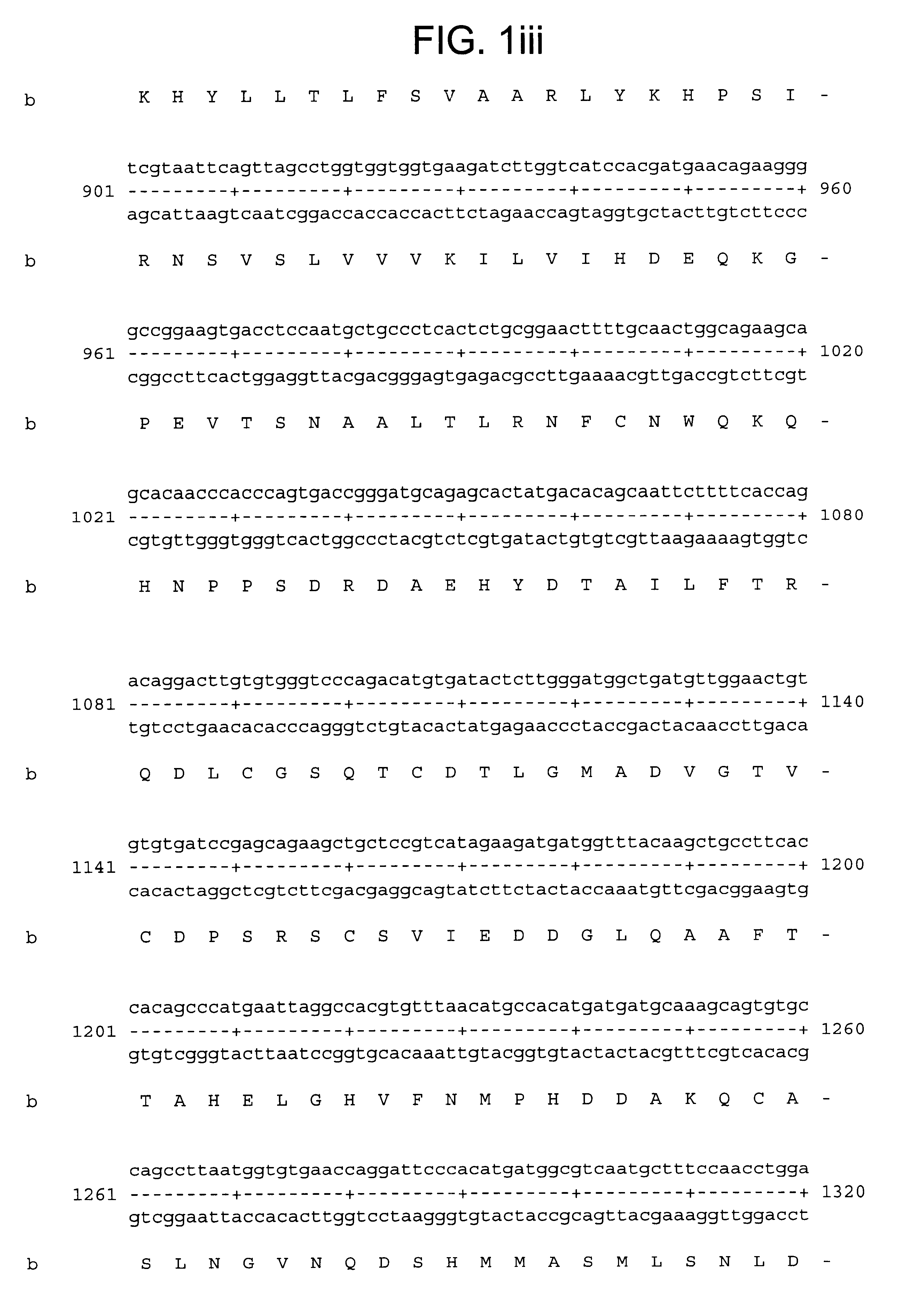 Human aggrecanase and nucleic acid compositions encoding the same