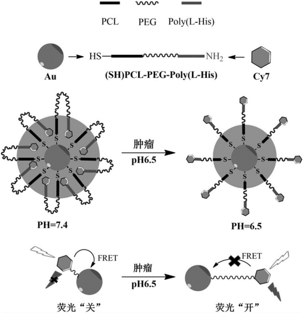 PH-sensitive block polymer, FRET (fluorescence resonance energy transfer) composite and their preparation methods