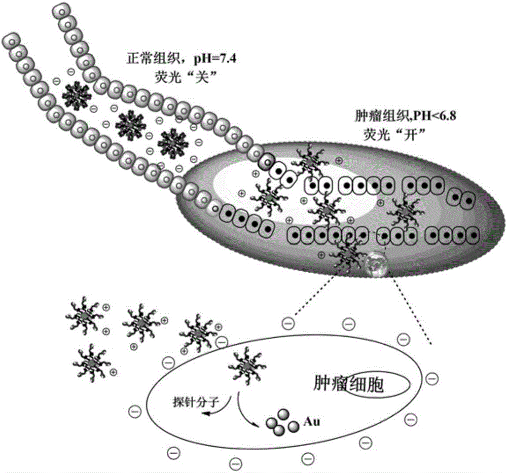 PH-sensitive block polymer, FRET (fluorescence resonance energy transfer) composite and their preparation methods