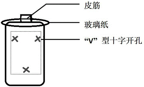 Ganoderma lucidum producing method