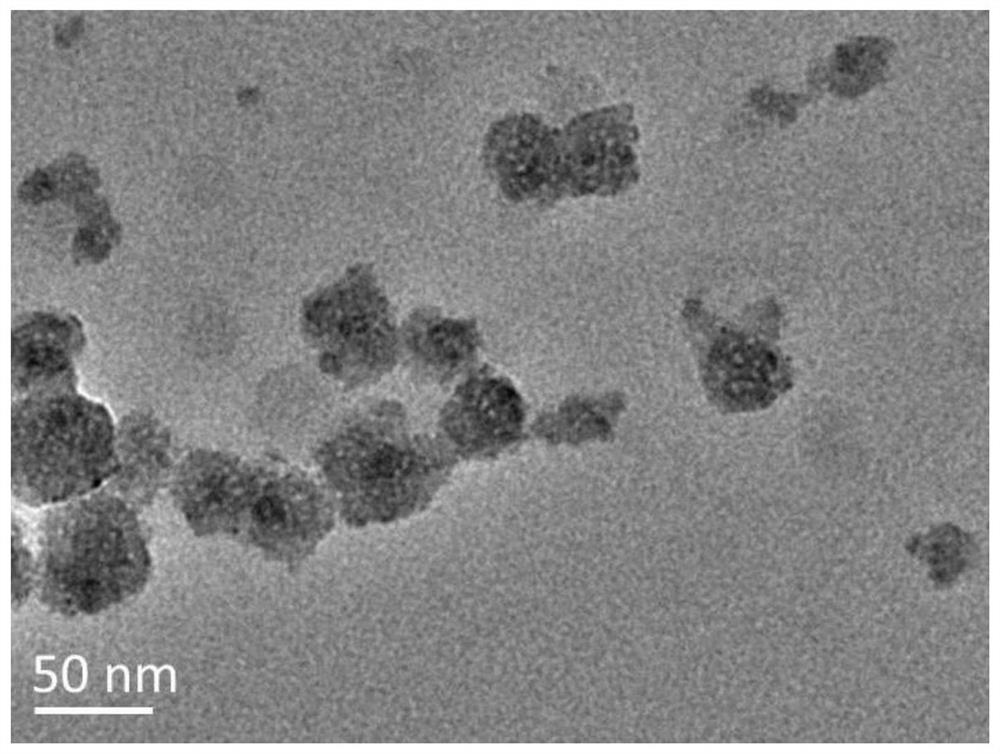 A tumor-targeting photothermal agent, its preparation method and application