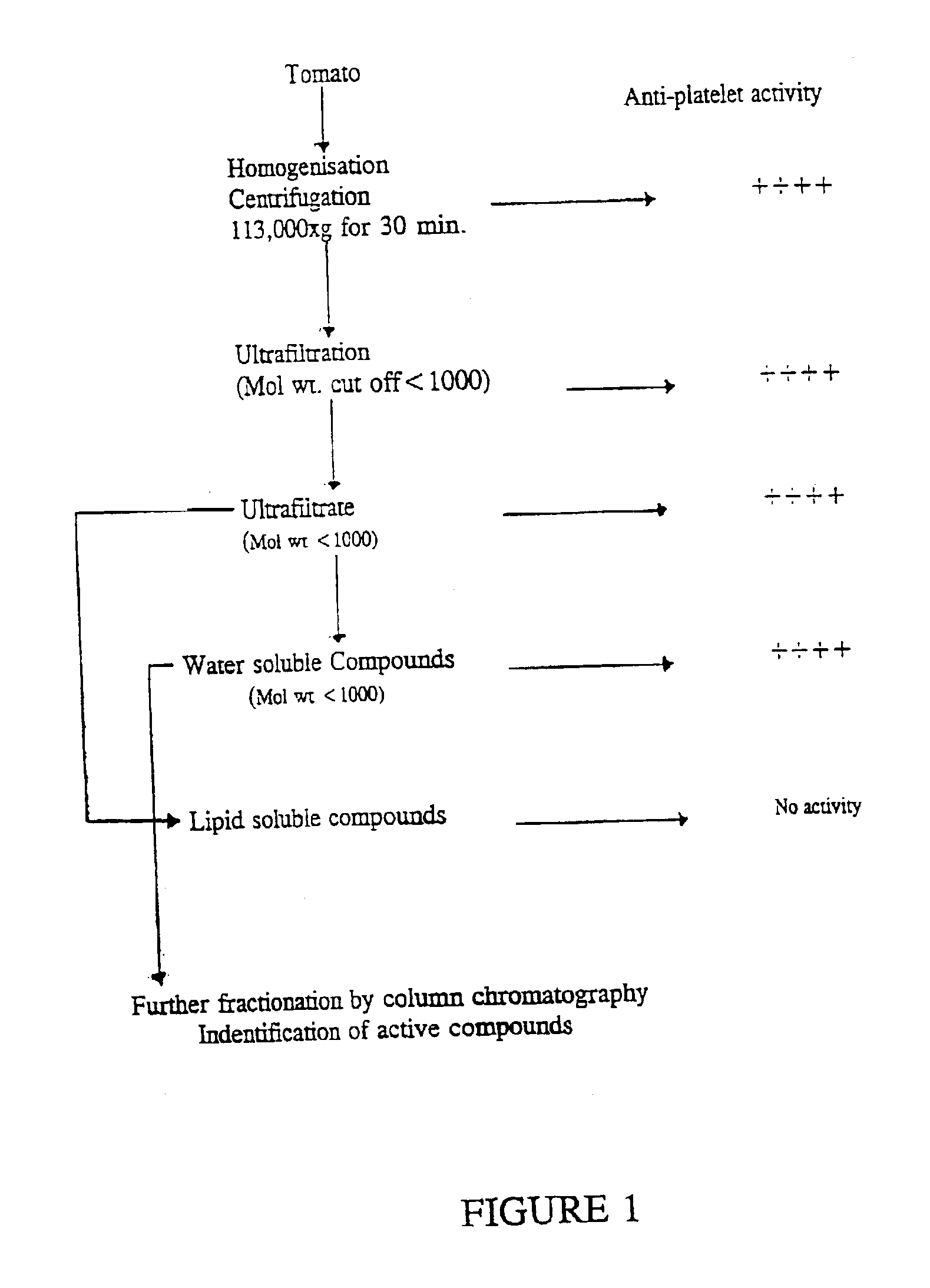 Antithrombotic agents