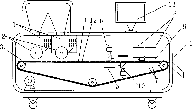 Intelligent vision capsule identification device