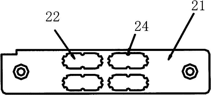 Intelligent vision capsule identification device