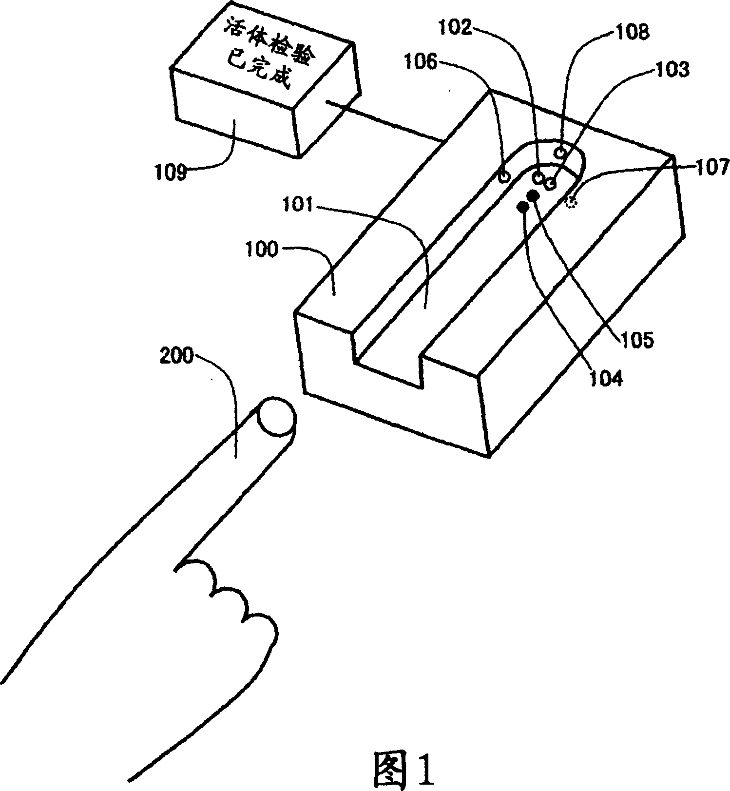 Biometric identification apparatus