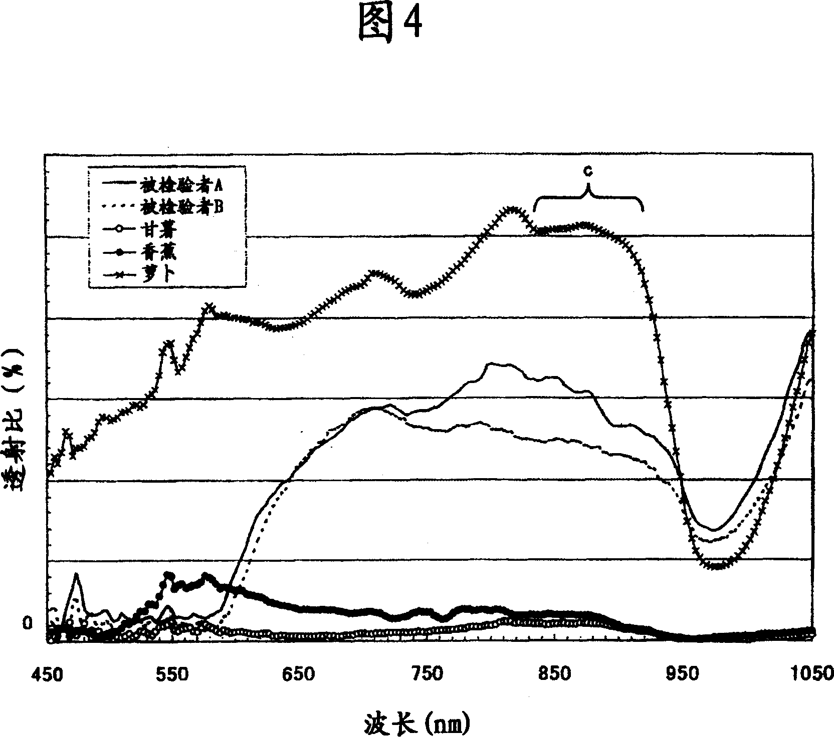 Biometric identification apparatus