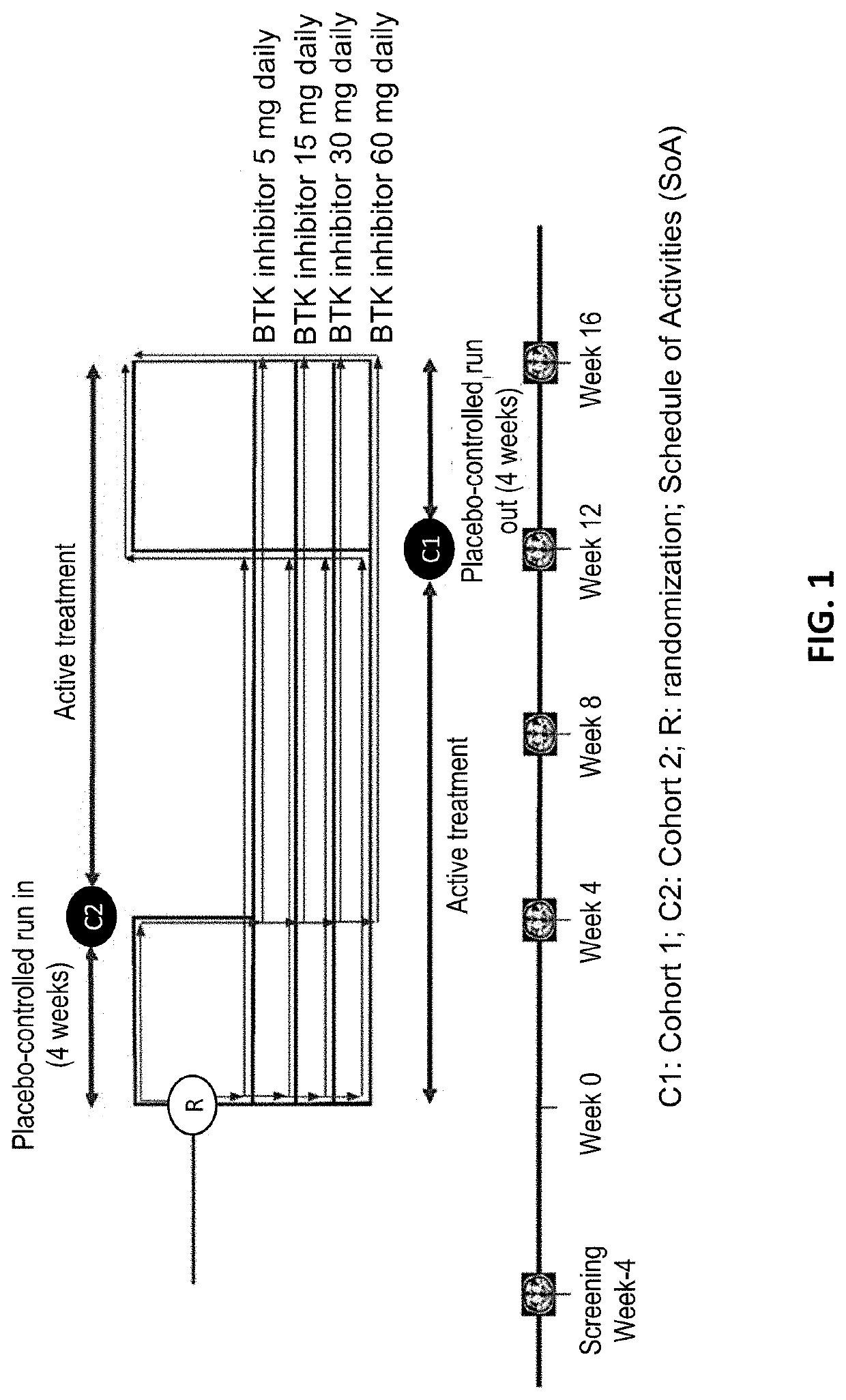 Therapeutic Tyrosine Kinase Inhibitors for Relapsing Multiple Sclerosis (RMS)