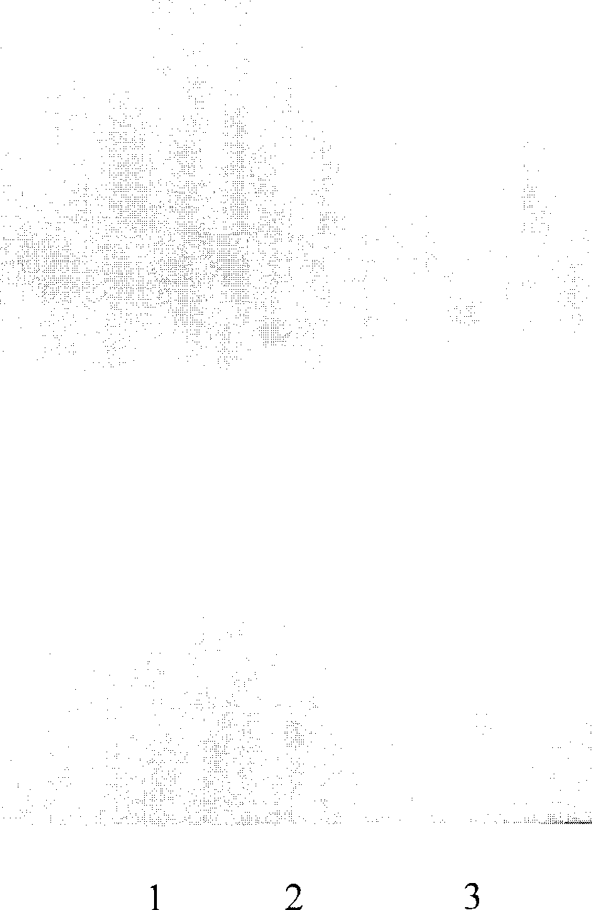 Quality control method of pharmaceutical composition for preventing and treating coronary heart disease