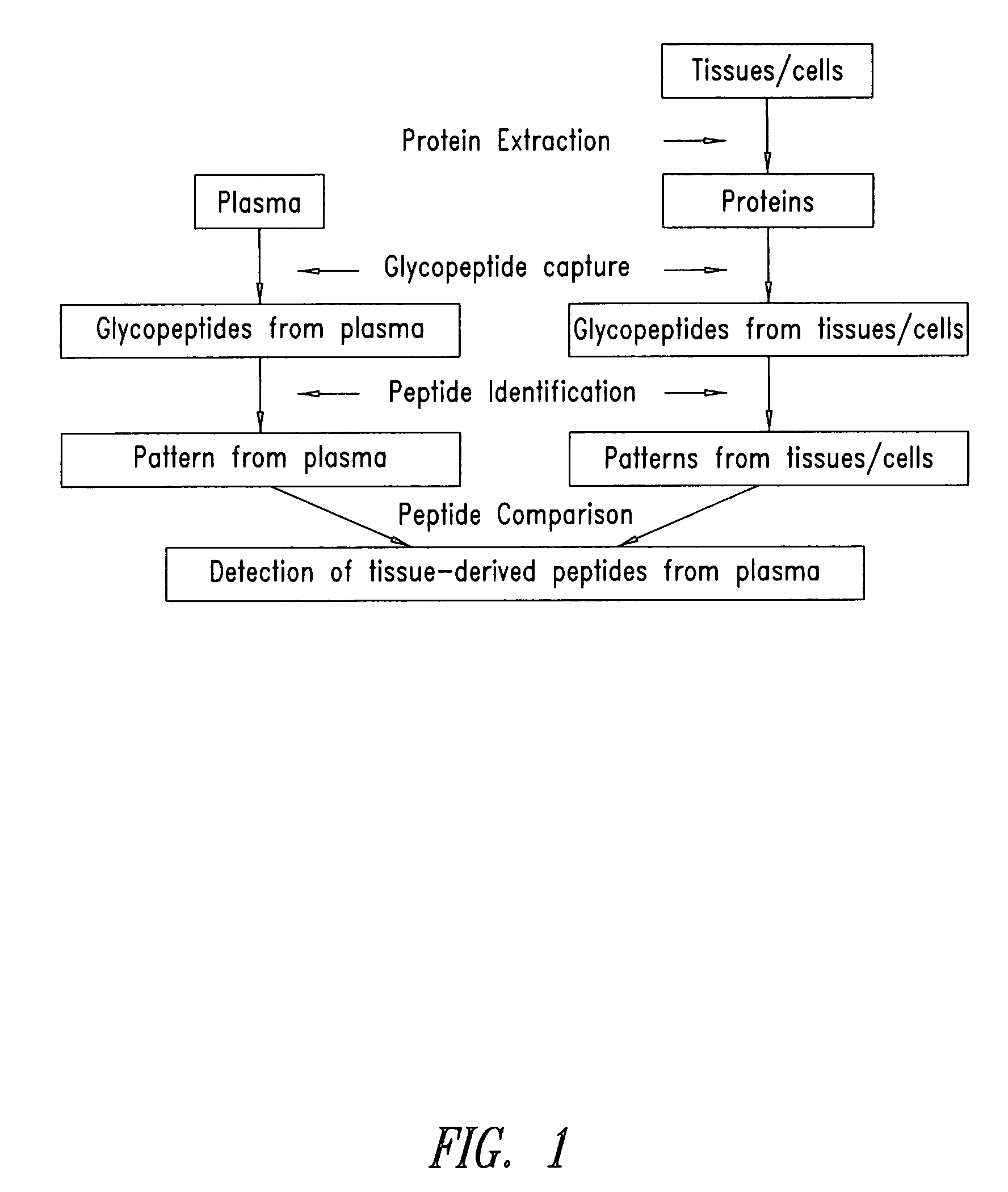 Tissue-and serum-derived glycoproteins and methods of their use