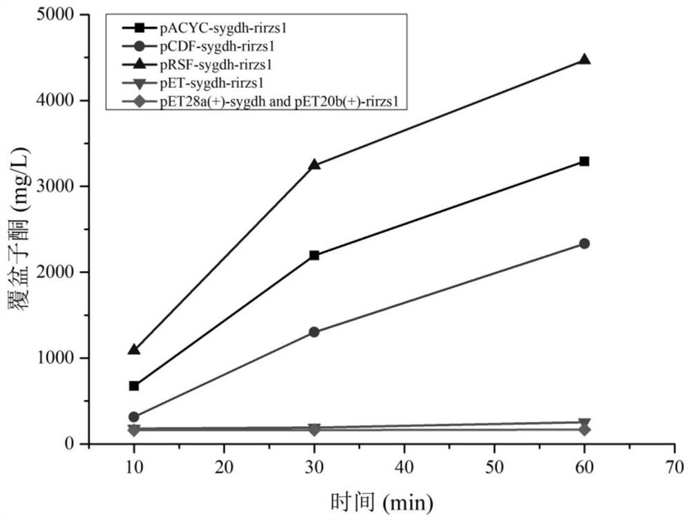 A method for preparing raspberry ketone by whole cell transformation