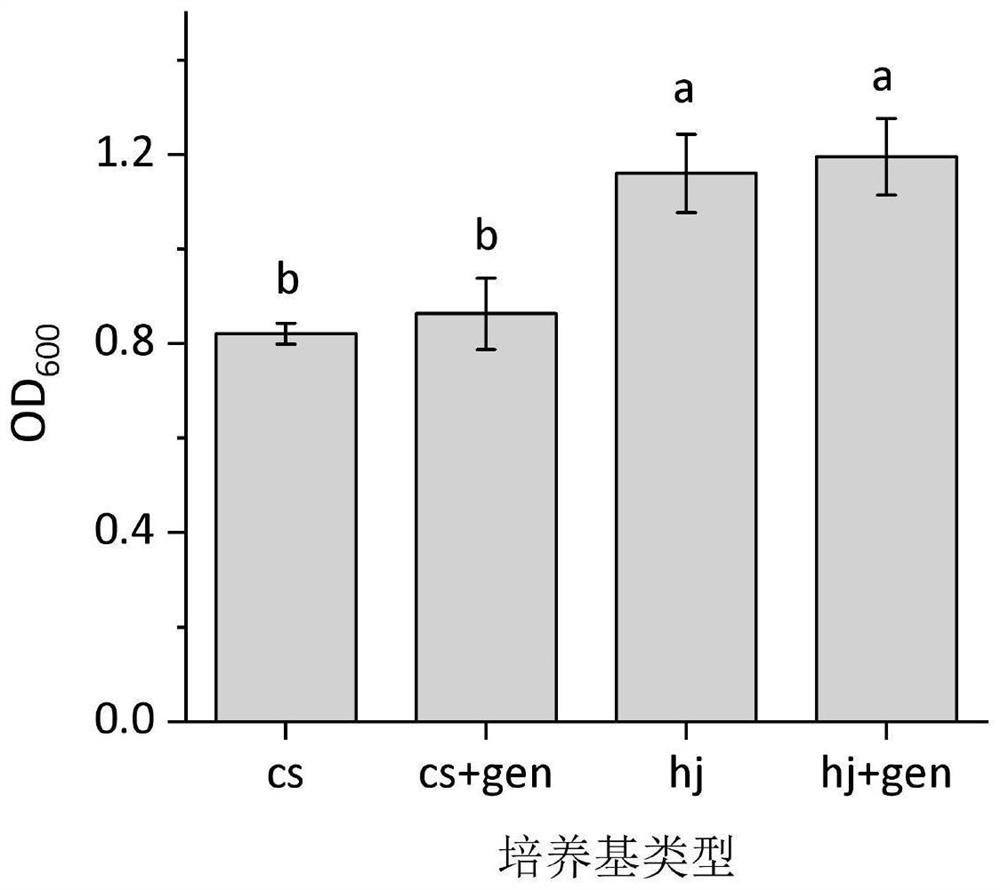 Acetobacter culture medium and acetic bacteria culture method