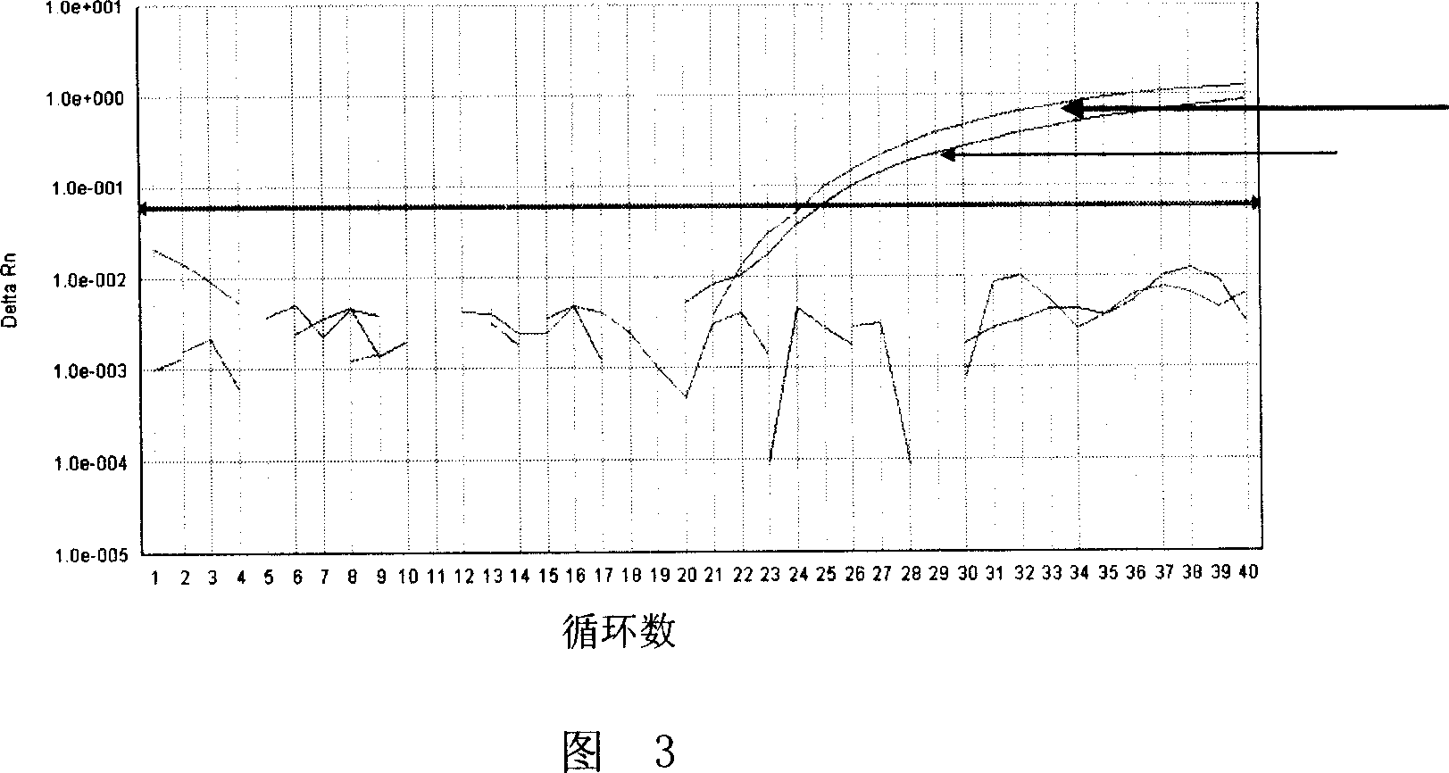 Method of detecting JAK2V617F mutation and its special primer and TaqMan MGB probe